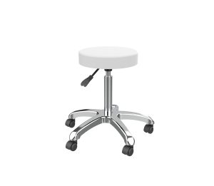 Silverfox 1023A Rolling Beautician Stool