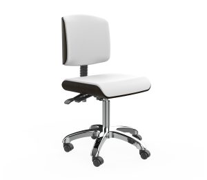 Silverfox 1071 Beautician Stool